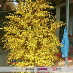 Thi Công Cây Mai Giả, Đào Giả Cao Cấp – Xu Hướng Trang Trí Năm 2025